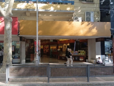LOCAL COMERCIAL EN AVENIDA SAN MARTIN DE CIUDAD